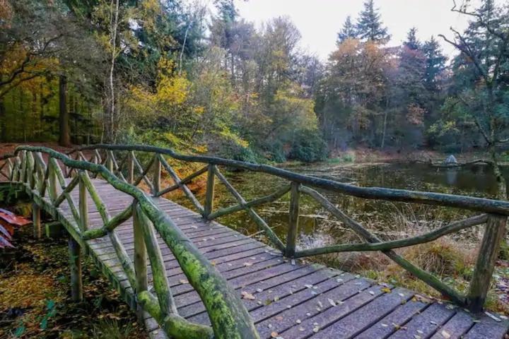 Chalet Buitengewoon Rijs エクステリア 写真